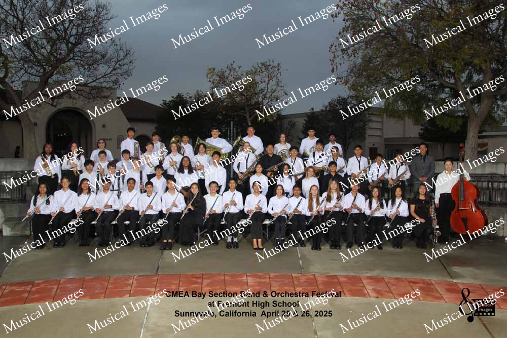 Musical Images